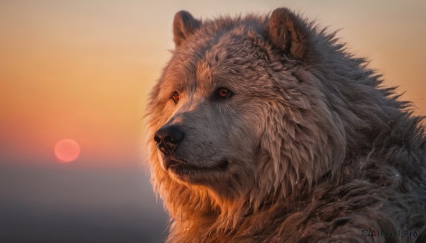 The timeless beauty of a unique subject in a tranquil moon