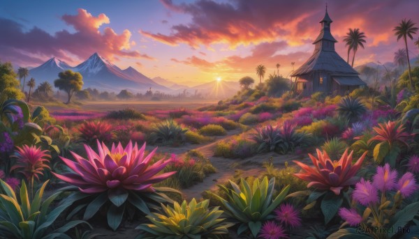 A unique subject portrayed in a inviting sunset outdoors