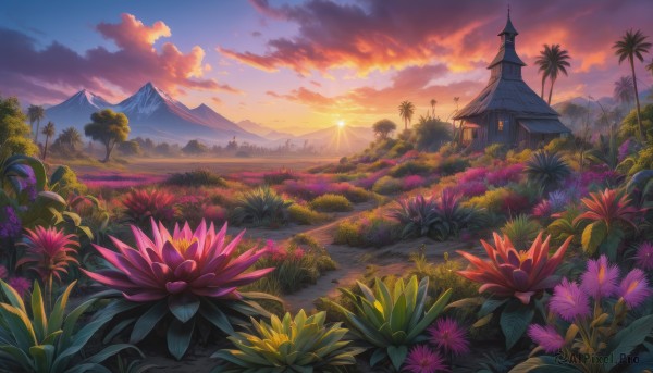 flower, outdoors, sky, cloud, tree, no humans, grass, plant, nature, scenery, sunset, mountain, sun, house, mountainous horizon, path