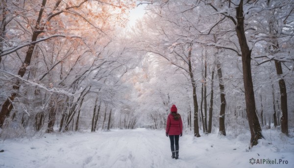 1girl, solo, standing, outdoors, pants, hood, from behind, tree, coat, black pants, nature, scenery, snow, forest, wide shot, winter, bare tree, footprints