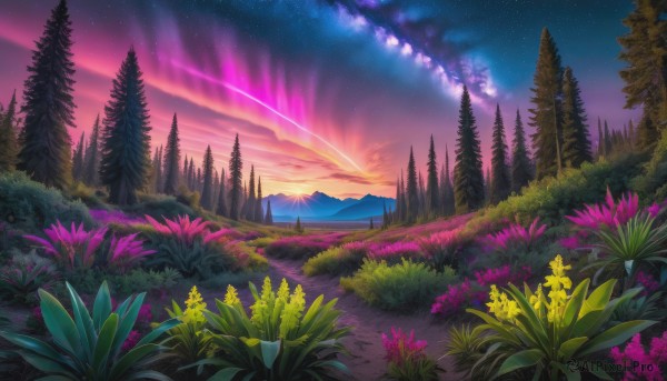 flower, outdoors, sky, cloud, tree, no humans, night, grass, star (sky), nature, night sky, scenery, forest, starry sky, sunset, mountain, yellow flower, field, landscape, shooting star, path, purple sky