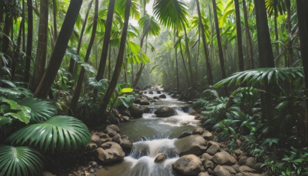 outdoors,day,water,tree,no humans,leaf,traditional media,sunlight,plant,nature,scenery,forest,rock,bamboo,river,bamboo forest,grass,stream