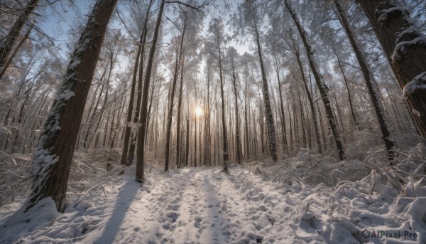 Snowy outdoors brought to life with a dynamic unique subject