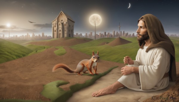 solo,brown hair,black hair,1boy,brown eyes,sitting,male focus,outdoors,sky,barefoot,hood,night,facial hair,bird,animal,moon,cat,grass,building,star (sky),night sky,beard,dog,robe,city,realistic,fantasy,sun,crescent moon,desert,long sleeves,wide sleeves,cape,from side,cross,child,scenery,full moon,hood up,starry sky,on ground,dirty feet