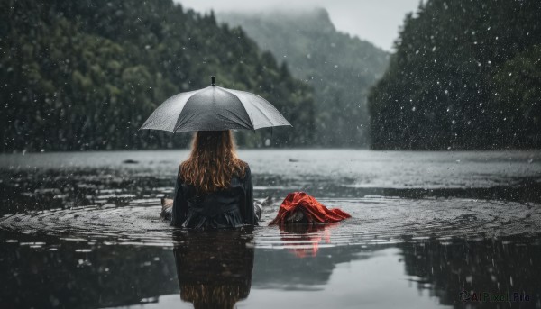 1girl, solo, long hair, brown hair, holding, outdoors, water, from behind, tree, umbrella, scenery, snow, reflection, rain, snowing, holding umbrella, grey sky