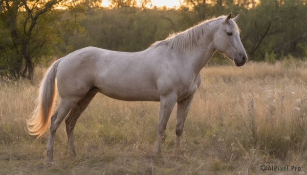 solo,full body,flower,outdoors,day,signature,from side,tree,no humans,animal,sunlight,grass,nature,scenery,forest,realistic,animal focus,horse,standing,field