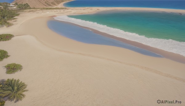 outdoors,sky,day,water,tree,blue sky,no humans,shadow,ocean,watermark,beach,grass,plant,nature,scenery,sand,palm tree,horizon,shore,desert,waves