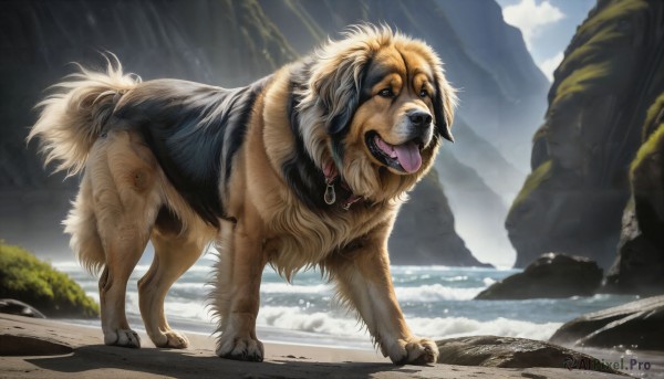 A striking day featuring the elegance of a dog