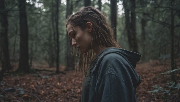The allure of a female in a dynamic outdoors