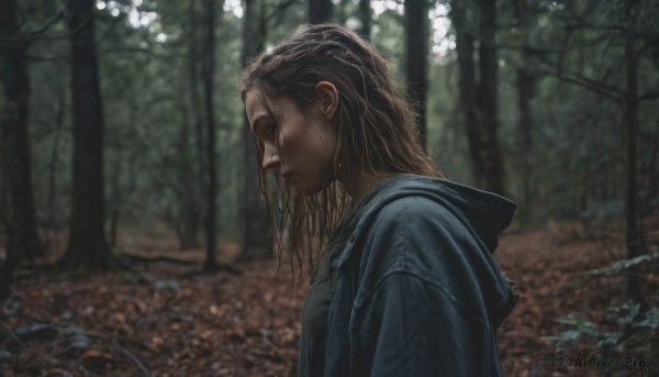 1girl, solo, long hair, brown hair, upper body, outdoors, hood, blurry, from side, tree, profile, blurry background, hood down, nature, forest, realistic