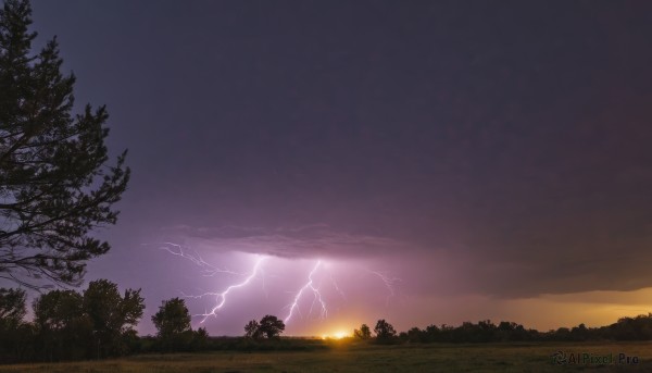 outdoors,sky,cloud,tree,no humans,cloudy sky,grass,nature,scenery,forest,sunset,sun,electricity,lightning,purple sky,night,horizon,twilight,evening,landscape,gradient sky