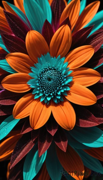 solo,flower,blurry,no humans,leaf,blue flower,orange flower,still life,orange theme,black background