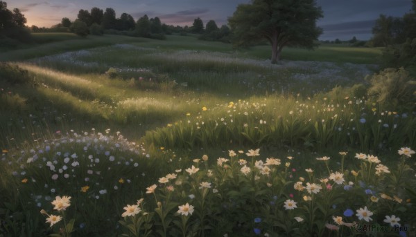 A delightful capture of a landscape within sunset outdoors