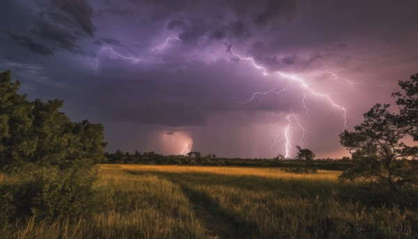 outdoors,sky,cloud,tree,no humans,cloudy sky,grass,nature,scenery,forest,electricity,lightning,field,landscape