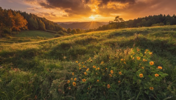 A landscape framed by the beauty of a calm sunset outdoors