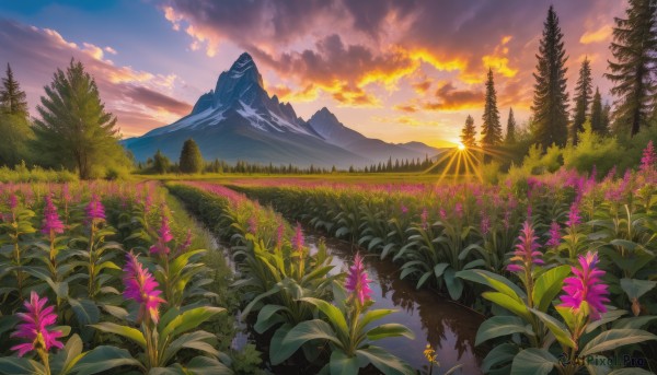 A landscape framed by the beauty of a lush sunset outdoors