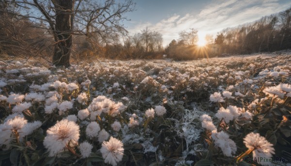 A landscape portrayed in a refreshing outdoors