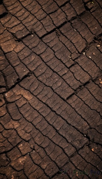 solo,monochrome,no humans,from above,scenery,brick wall,brown theme,orange theme,outdoors,lying,dutch angle,wall,pavement,stone floor,stone wall,brick floor