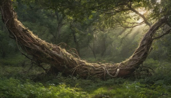 outdoors,day,tree,no humans,leaf,sunlight,grass,plant,nature,scenery,forest,light rays,branch,sunbeam,green theme,moss,fantasy,vines,overgrown