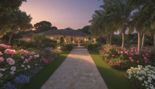 A majestic image of a garden in sunset outdoors
