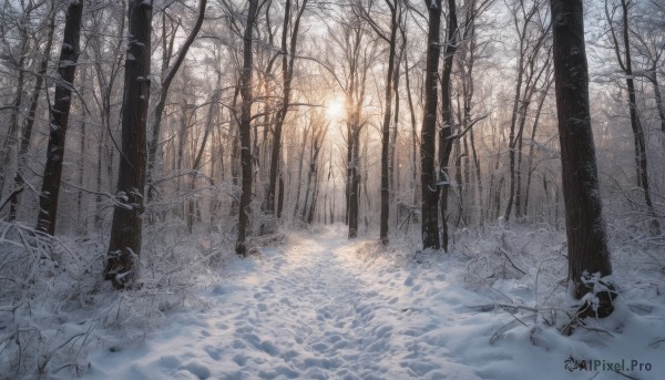 A enchanting snowy outdoors highlighting a unique subject