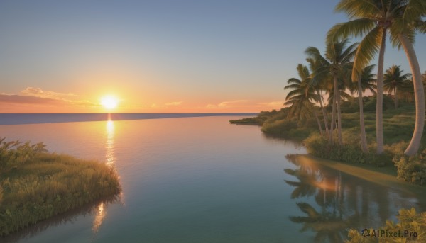 A inspiring unique subject within sunset outdoors
