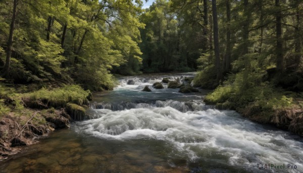 outdoors,sky,day,water,tree,no humans,nature,scenery,forest,rock,river,waterfall,landscape,stream