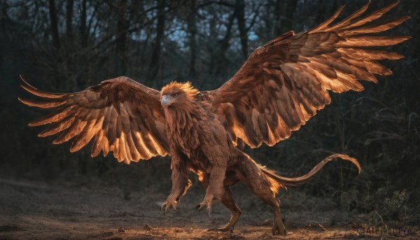 solo,standing,tail,full body,outdoors,wings,blurry,tree,no humans,feathers,nature,feathered wings,claws,forest,monster,scales,bird wings,talons,spread wings,brown wings,glowing,bird,realistic