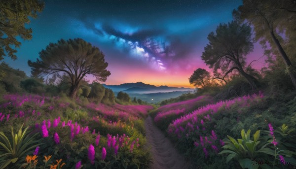 flower, outdoors, sky, cloud, tree, no humans, night, grass, star (sky), nature, night sky, scenery, starry sky, sunset, mountain, purple flower, road, field, landscape