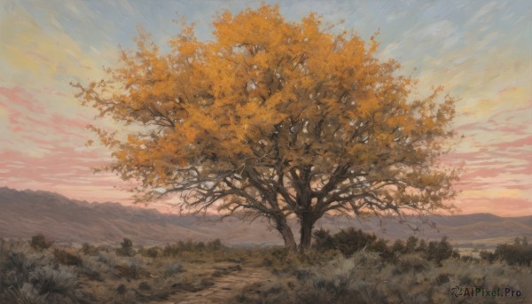 A landscape caught in a vivid sunset day