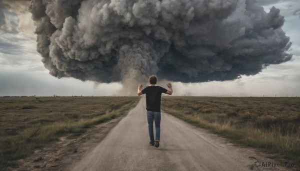 solo,short hair,brown hair,shirt,black hair,1boy,standing,short sleeves,male focus,outdoors,sky,shoes,day,pants,cloud,from behind,black footwear,black shirt,cloudy sky,grass,denim,t-shirt,scenery,smoke,walking,jeans,blue pants,facing away,road,field,wide shot