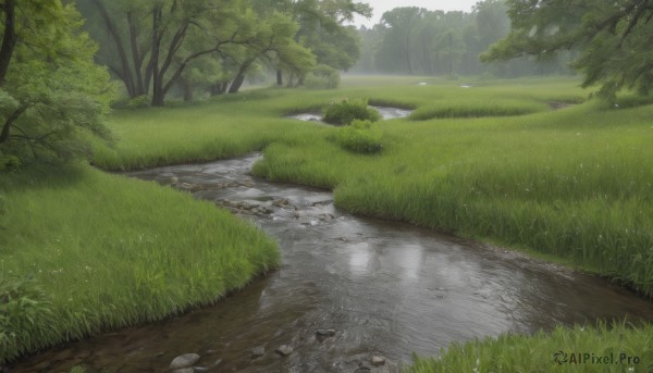 A ethereal day showcasing a landscape