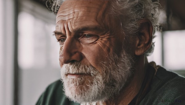 solo,looking at viewer,blue eyes,1boy,closed mouth,white hair,male focus,indoors,blurry,blurry background,facial hair,scar,portrait,beard,realistic,mustache,old,old man,wrinkled skin,bald,manly