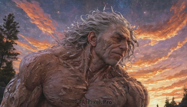 solo,long hair,1boy,closed mouth,closed eyes,upper body,white hair,grey hair,male focus,outdoors,sky,cloud,tree,wet,muscular,facial hair,scar,cloudy sky,pectorals,muscular male,star (sky),bara,beard,scar on face,starry sky,veins,sunset,mature male,mustache,scar across eye,wet hair,manly,old,old man,twilight,wrinkled skin,nude,messy hair,night sky,realistic,chest hair,evening