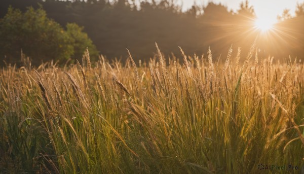 A ethereal sunset day featuring a landscape