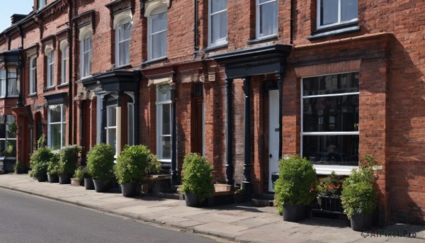 outdoors,sky,day,tree,no humans,window,shadow,plant,building,scenery,door,potted plant,road,bush,street,flower pot,flower,blue sky,house