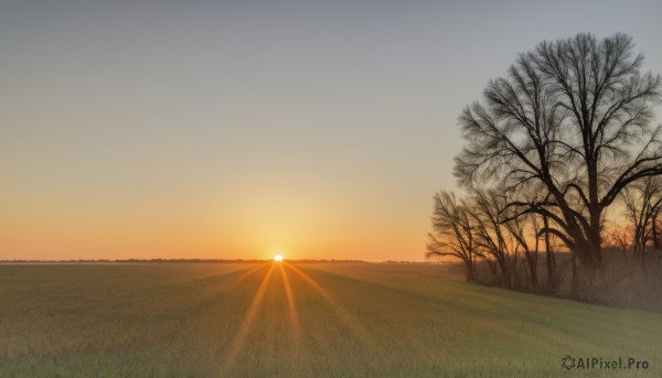 outdoors,sky,cloud,tree,no humans,sunlight,grass,nature,scenery,lens flare,sunset,mountain,sun,field,bare tree,landscape,gradient sky,orange sky,sunrise,hill,horizon