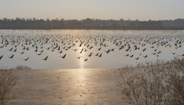 A female in a dynamic sunset outdoors