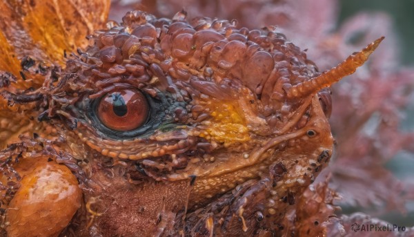 outdoors,horns,blurry,no humans,depth of field,blurry background,single horn,monster,realistic,one-eyed,food,traditional media,fish,food focus,still life