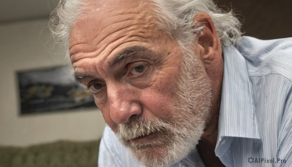 solo,looking at viewer,shirt,1boy,closed mouth,white shirt,upper body,white hair,male focus,striped,collared shirt,indoors,blurry,black eyes,blurry background,facial hair,portrait,beard,vertical stripes,striped shirt,realistic,mustache,manly,old,old man,vertical-striped shirt,wrinkled skin,grey eyes,depth of field,close-up,pinstripe pattern