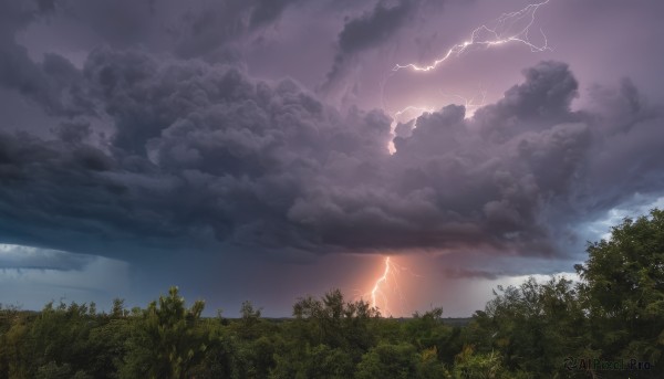 outdoors,sky,cloud,tree,no humans,cloudy sky,grass,nature,scenery,forest,mountain,electricity,lightning,landscape,signature