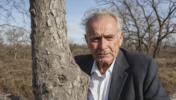 solo,looking at viewer,shirt,1boy,closed mouth,jacket,white shirt,upper body,white hair,grey hair,male focus,outdoors,day,collared shirt,blurry,tree,black jacket,dress shirt,blurry background,facial hair,formal,suit,realistic,old,old man,bare tree,photo background,wrinkled skin,closed eyes,sky,signature,blue sky,depth of field,wing collar,facing viewer,beard,map