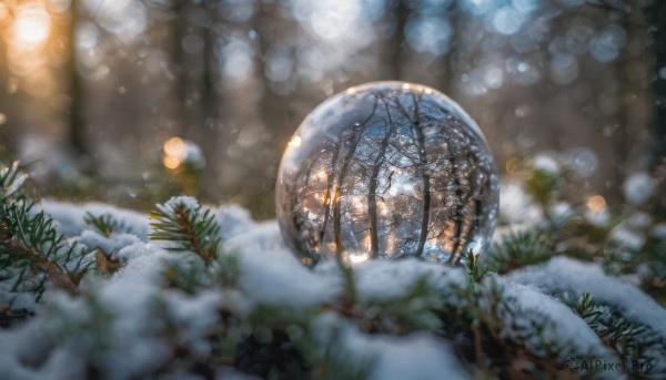 A unique view of a unique subject in snowy outdoors