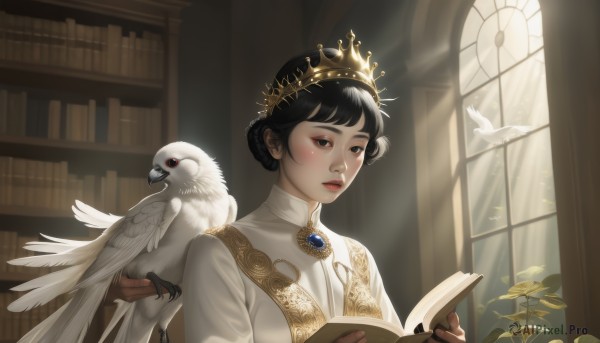 1girl,solo,short hair,bangs,black hair,dress,holding,brown eyes,jewelry,upper body,braid,parted lips,day,indoors,hair bun,white dress,black eyes,lips,book,window,bird,animal,sunlight,single hair bun,tiara,crown,plant,brooch,gem,holding book,gold trim,light rays,open book,bookshelf,red lips,reading,animal on shoulder,library,owl,bird on hand,bird on shoulder,looking at viewer,blush,long sleeves,makeup