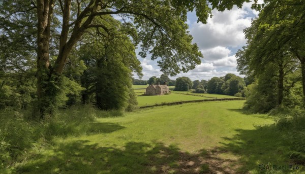 outdoors,sky,day,cloud,tree,blue sky,no humans,sunlight,cloudy sky,grass,nature,scenery,forest,road,bush,field,landscape,path,plant,building,house