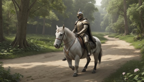 solo,1boy,flower,male focus,boots,outdoors,day,cape,armor,tree,animal,sunlight,helmet,grass,plant,shoulder armor,gauntlets,nature,scenery,1other,forest,pauldrons,breastplate,black cape,armored boots,bush,riding,greaves,horse,knight,full armor,ambiguous gender,path,horseback riding,helm,plate armor,reins,saddle,holding,weapon