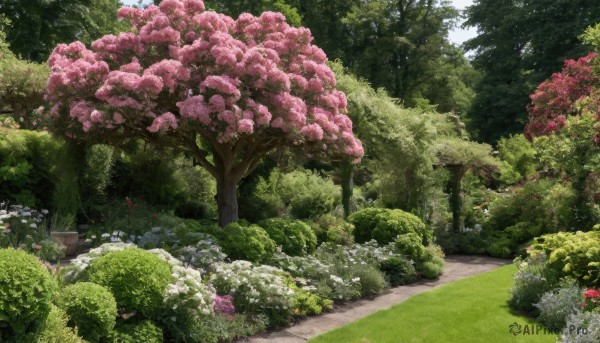 flower,outdoors,sky,day,tree,no humans,sunlight,grass,cherry blossoms,nature,scenery,forest,rock,road,bush,landscape,path,spring (season),plant,garden