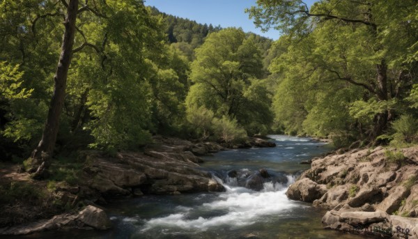 outdoors,sky,day,cloud,water,tree,blue sky,no humans,nature,scenery,forest,rock,river,waterfall,landscape,stream,grass