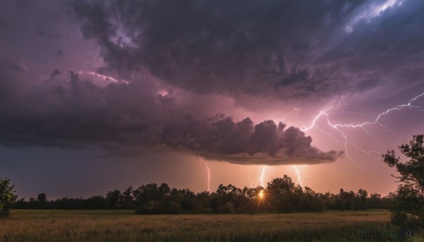 outdoors,sky,cloud,tree,no humans,cloudy sky,grass,nature,scenery,forest,sunset,electricity,fireworks,lightning,landscape