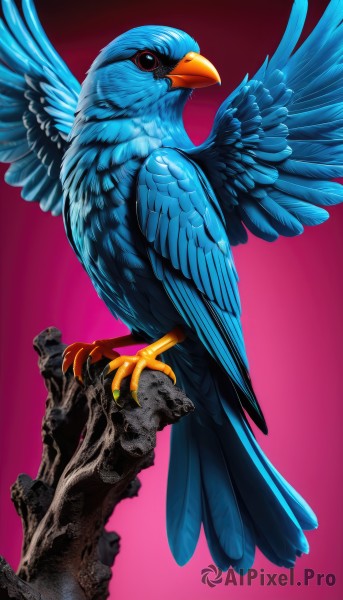 solo,looking at viewer,simple background,red eyes,closed mouth,full body,wings,from side,gradient,gradient background,pokemon (creature),no humans,bird,animal,pink background,feathers,red background,realistic,animal focus,talons,beak,feathered wings,claws,rock,spread wings